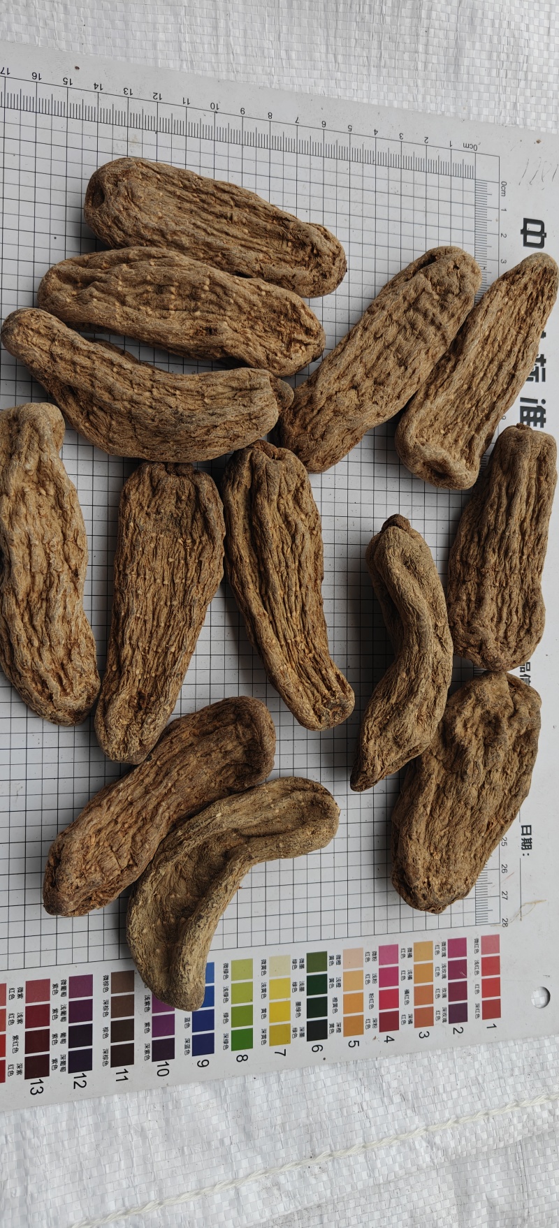 乌天麻黑天麻个选可打粉关书药业批发各种规格