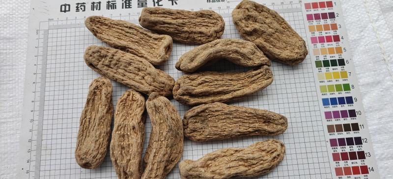 乌天麻黑天麻个选可打粉关书药业批发各种规格