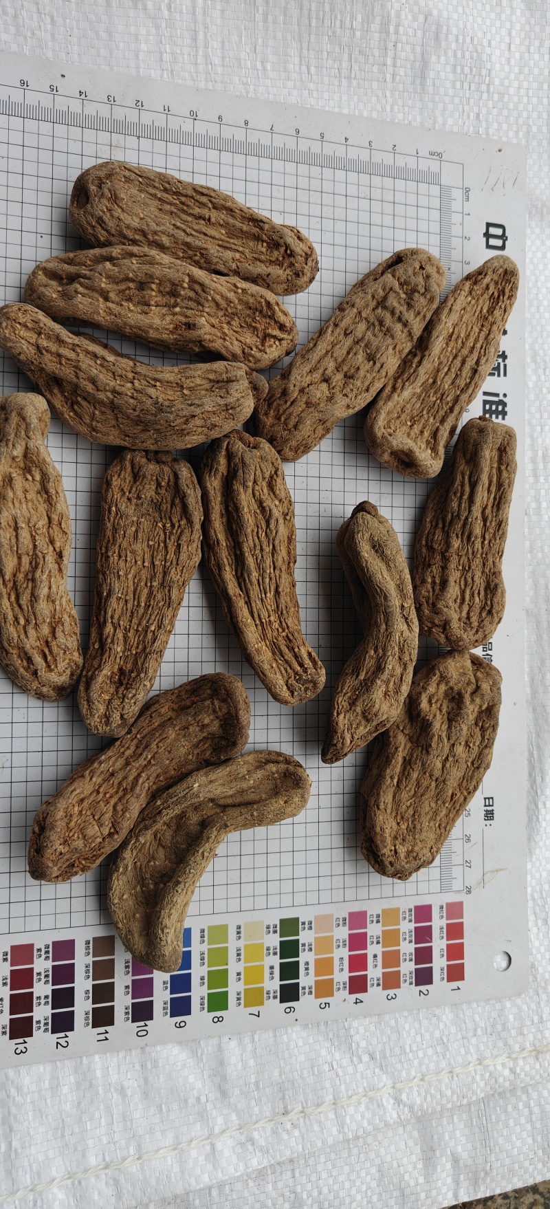 乌天麻黑天麻个选可打粉关书药业批发各种规格