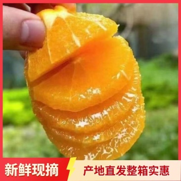 九月红脐橙，产地直发，全国发货，欢迎进店沟通选购