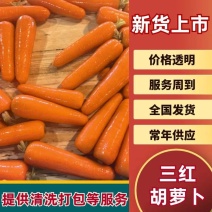 胡萝卜三红胡萝卜产地直发一手货源对接电商商超）
