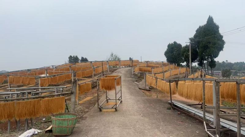 红薯粉条/四川资阳安岳县红薯粉条厂家直销/对接全国采购商
