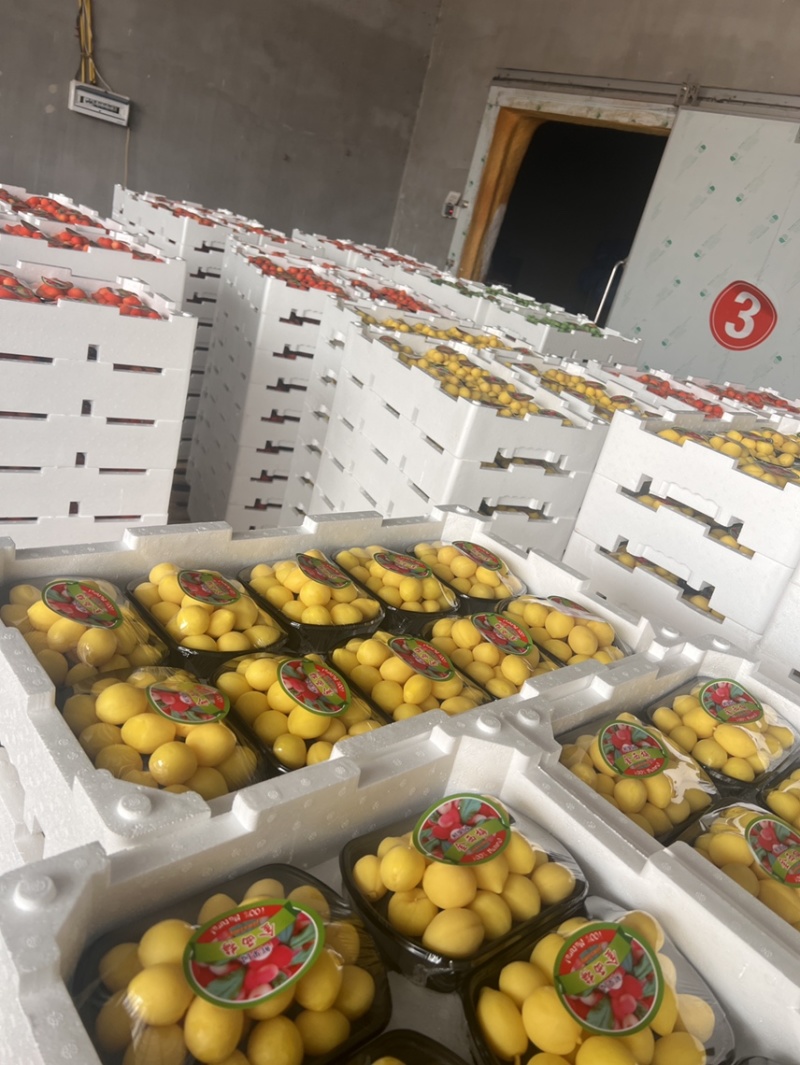 金西梅/百味果