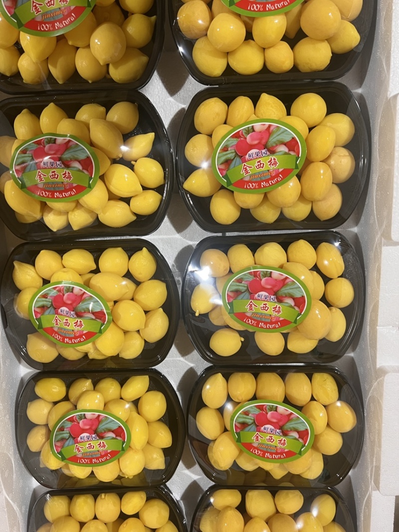金西梅/百味果