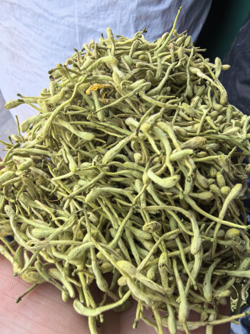 金银花双花农副产品绿花不满意可退换货