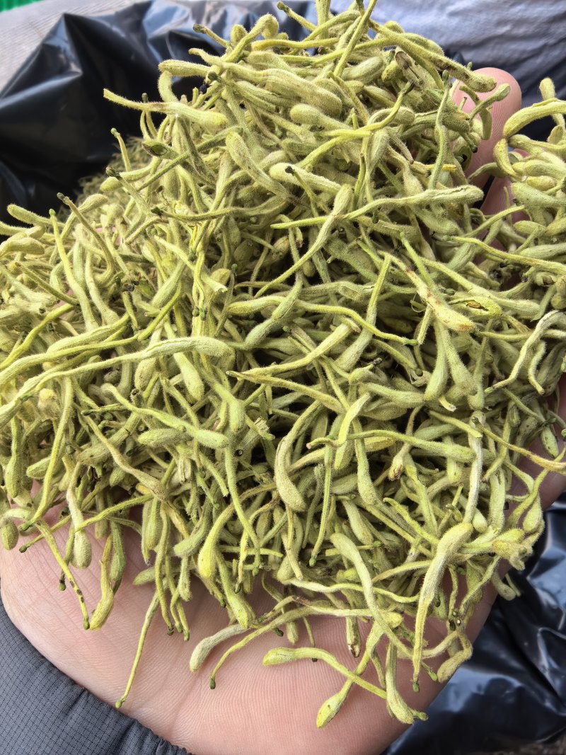 金银花双花农副产品绿花不满意可退换货