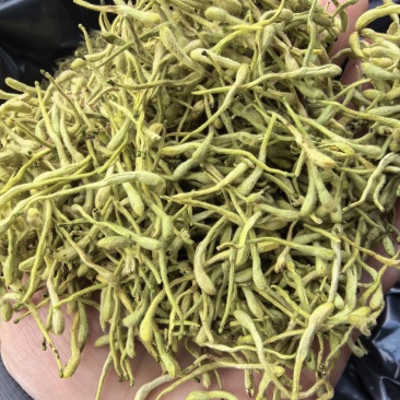 金银花双花农副产品绿花不满意可退换货