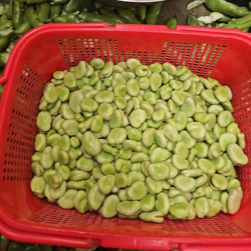 福建蚕豆，豆米