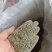 黑胡椒黑胡椒粒黑胡椒粉各种规格调味料