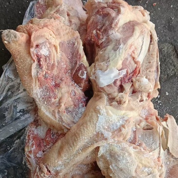 种鸡架