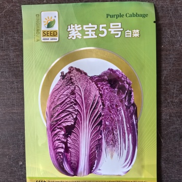 紫白菜种子紫宝5号春秋中早熟紫白菜种子进口高产1000粒