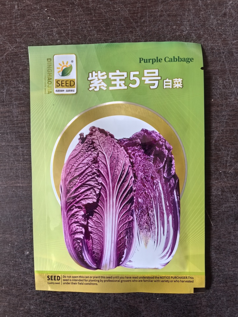 紫白菜种子紫宝5号春秋中早熟紫白菜种子进口高产1000粒