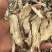 甘肃当归全归片现有货可以现场考察满意再装承接批发加工零售