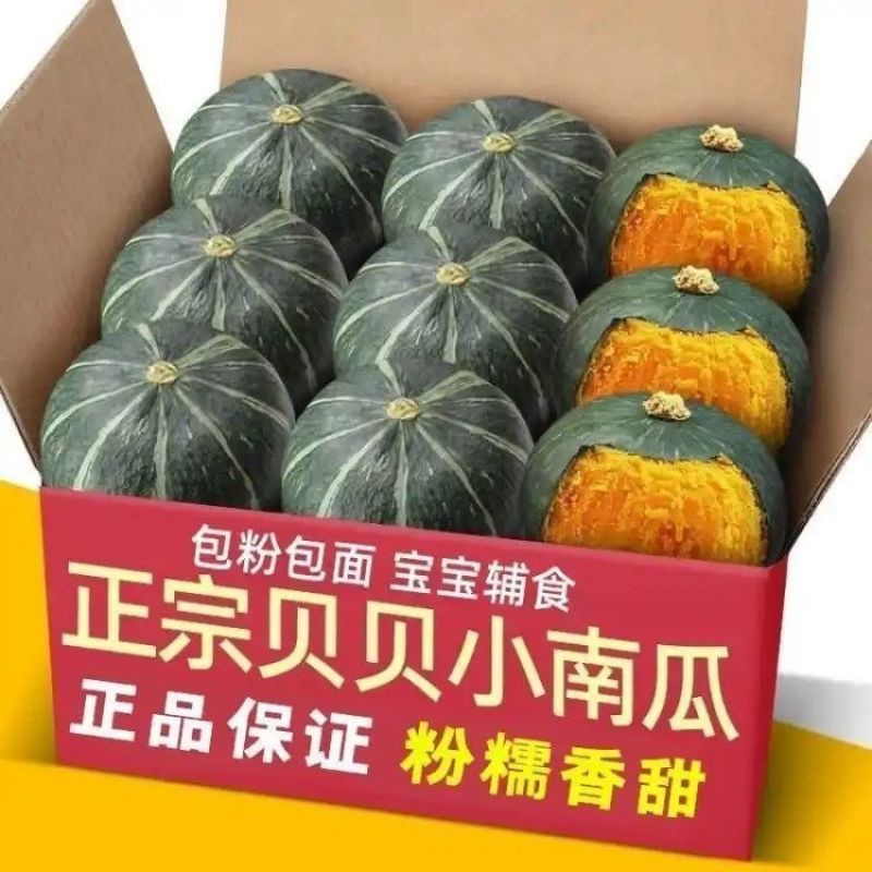 广东贝贝南瓜，产地一手货源，可以视频看货，对接全国市场