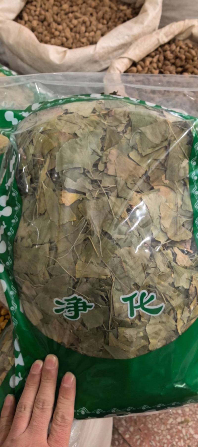 银杏叶