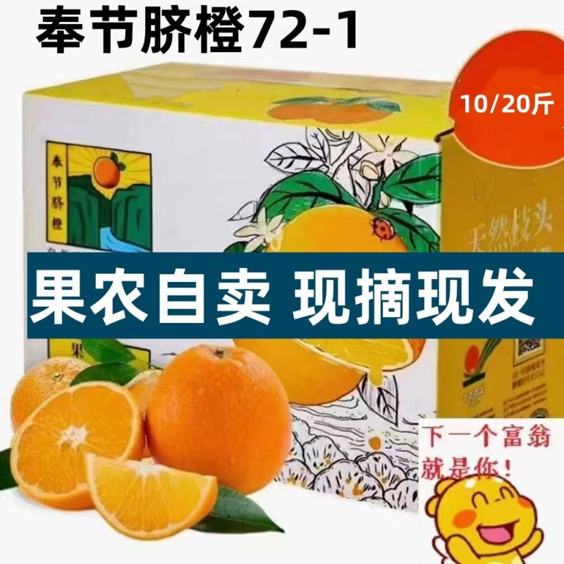 重庆奉节脐橙72-1，产地一手货源，量大优惠对接全国客户