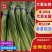 🔥【新鲜蒜苔热卖中】支持各种包装，价格便宜，一手货源。