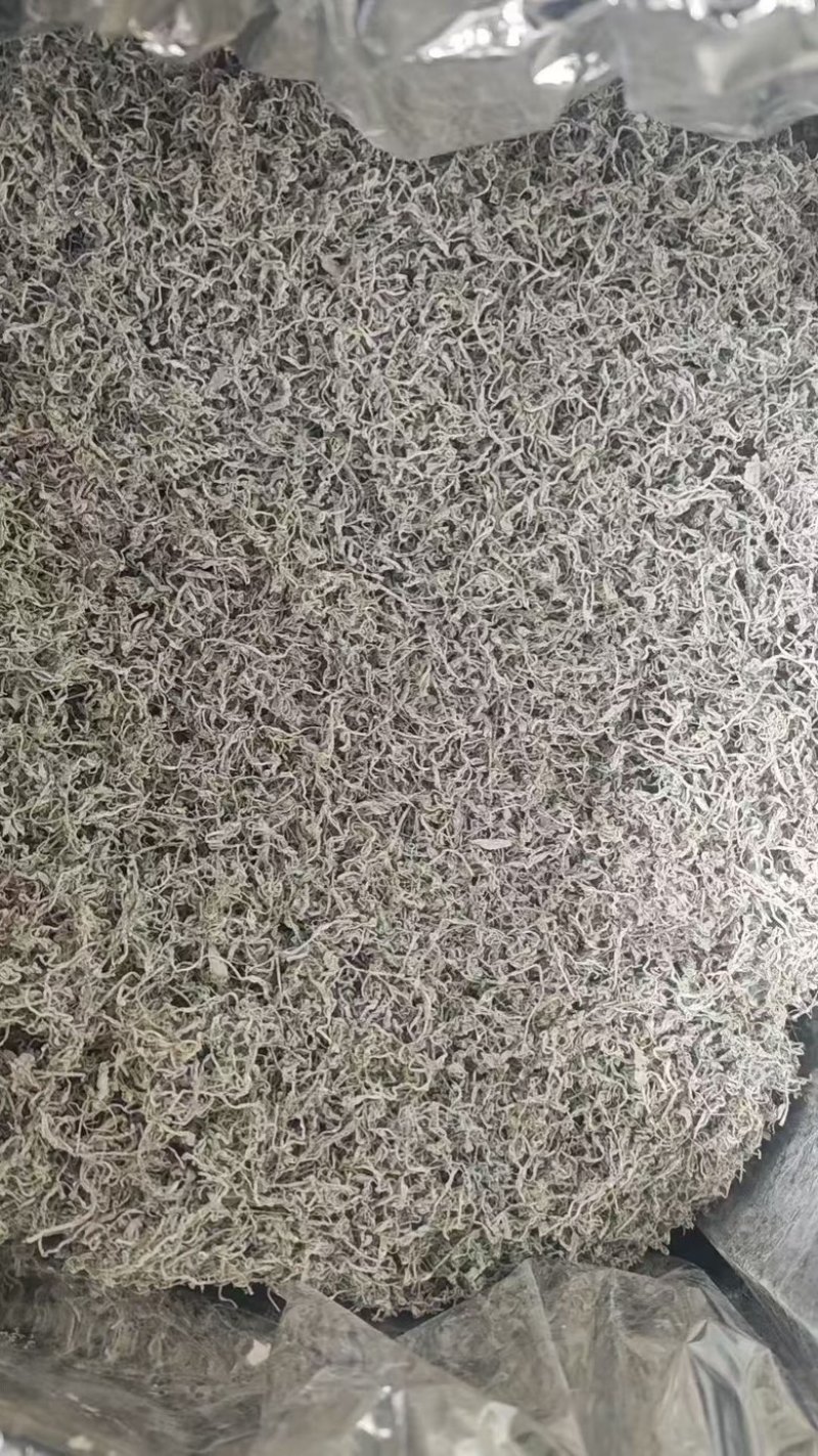 莓茶