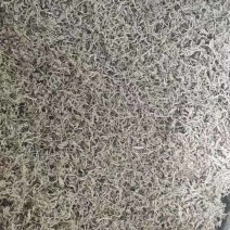 莓茶