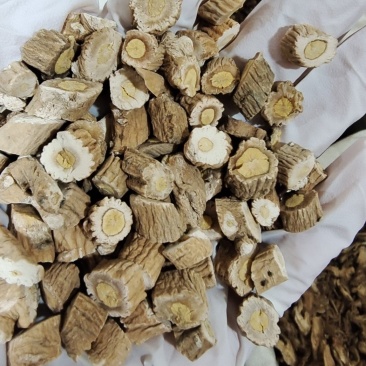 板蓝根选货2斤起包邮量大优惠