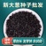 大葱种子，产地一手货源量大优惠，量大优惠欢迎合作