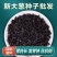 章丘大葱种子，量大优惠产地一手货源对接全国市场电商平台