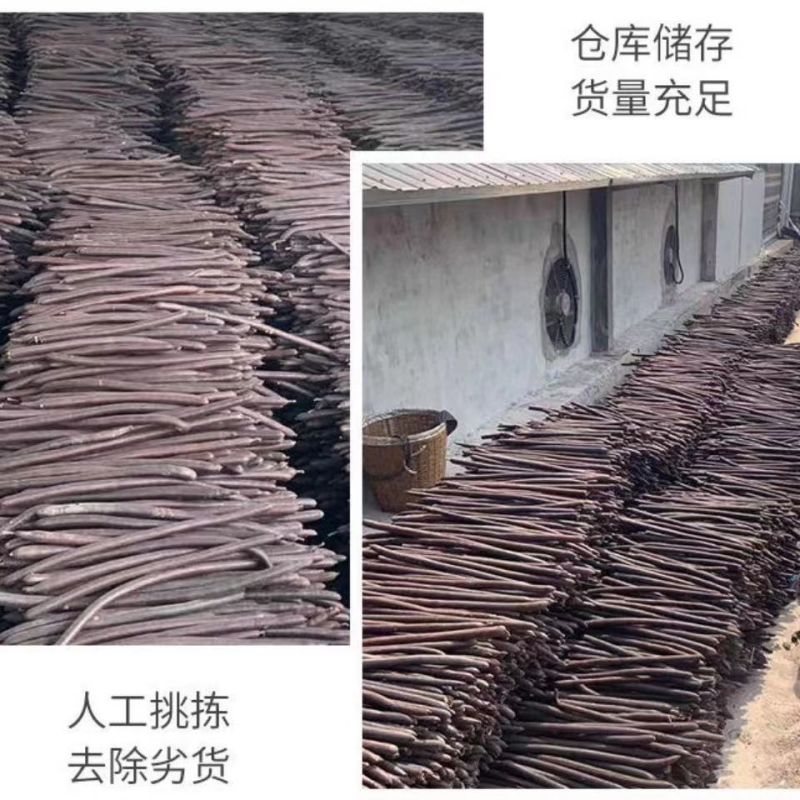 便秘果整根个子2斤包邮量大优惠