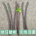 便秘果整根个子2斤包邮量大优惠