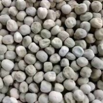 中豌六号食品豌豆