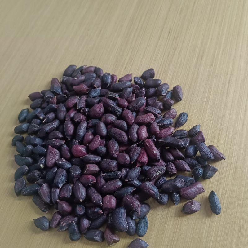 黑花生米