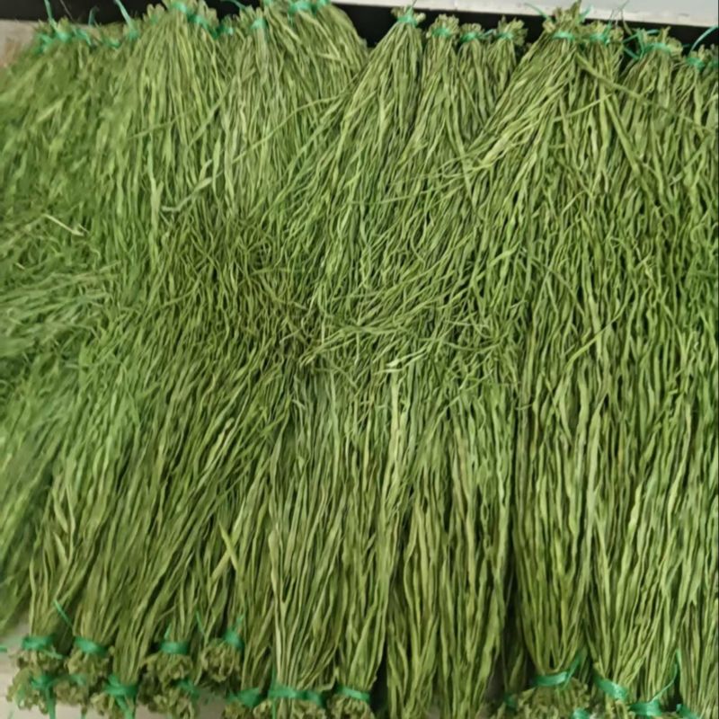 贡菜原产地，农户一手