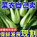 上海将大量上市，全国发货，欢迎进店沟通