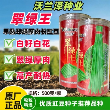 翠绿王白籽白花豇豆耐热耐高温肉厚籽少高产顺直春秋播种