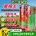 翠绿王白籽白花豇豆耐热耐高温肉厚籽少高产顺直春秋播种