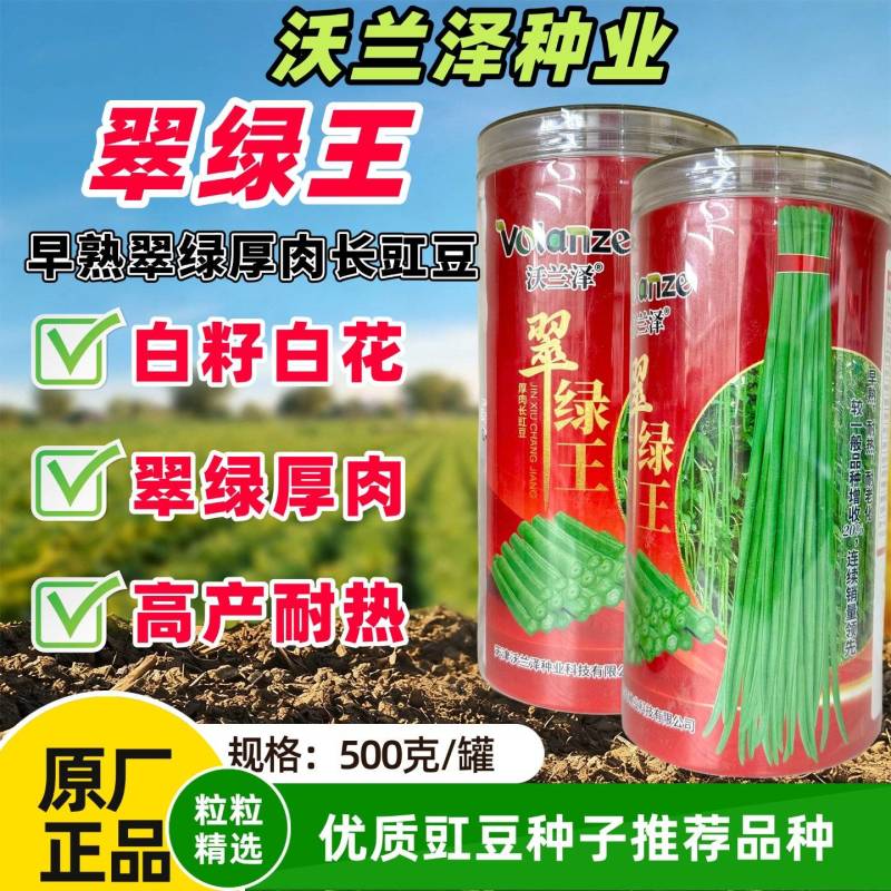 翠绿王白籽白花豇豆耐热耐高温肉厚籽少高产顺直春秋播种