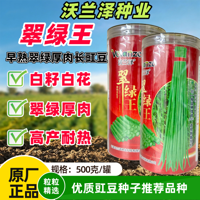 翠绿王白籽白花豇豆耐热耐高温肉厚籽少高产顺直春秋播种