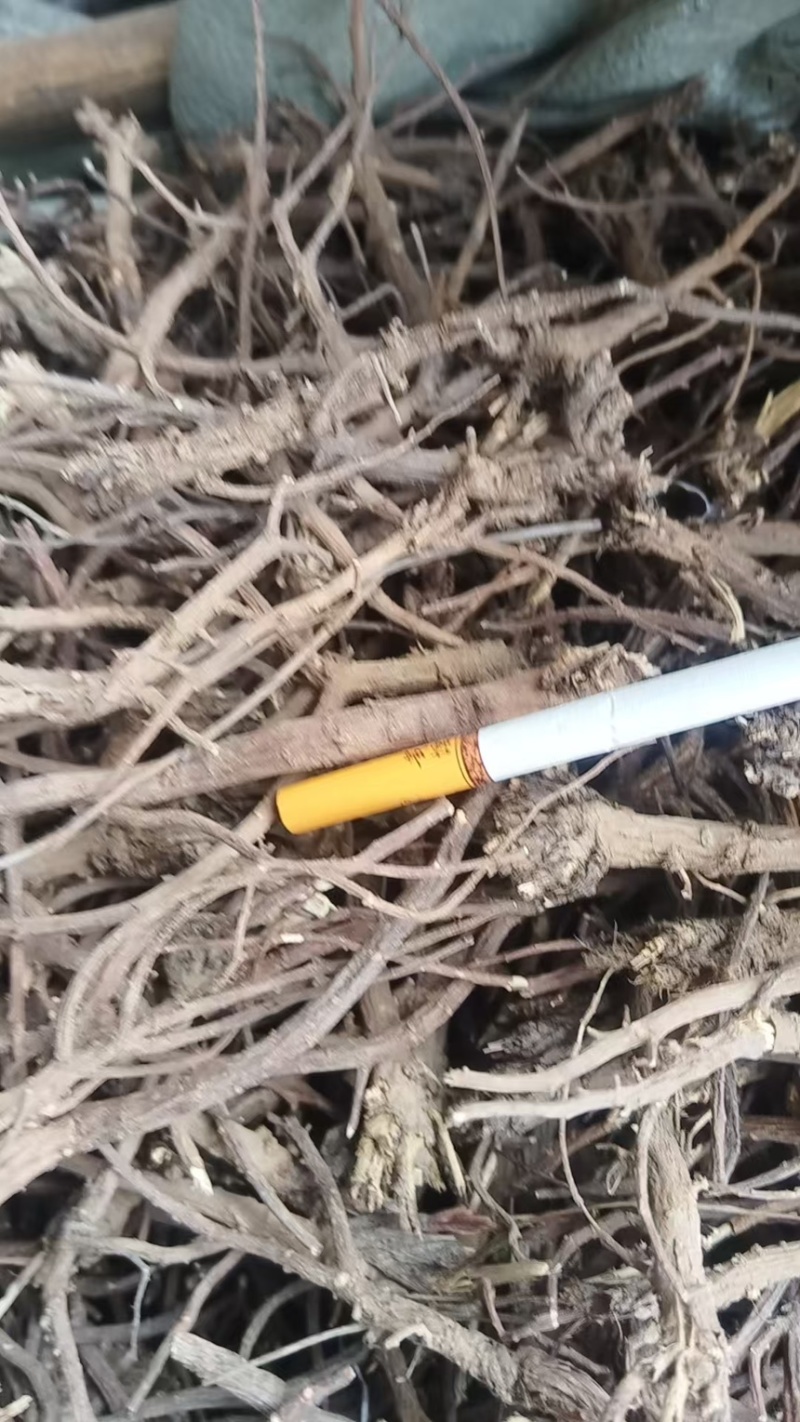 柴胡黑柴胡干黑柴胡一手货源量大从优欢迎咨询