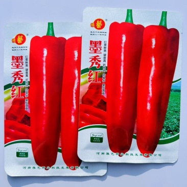 墨秀红牛角椒种子红果专用椒春秋季播中早熟高产红牛角椒种子