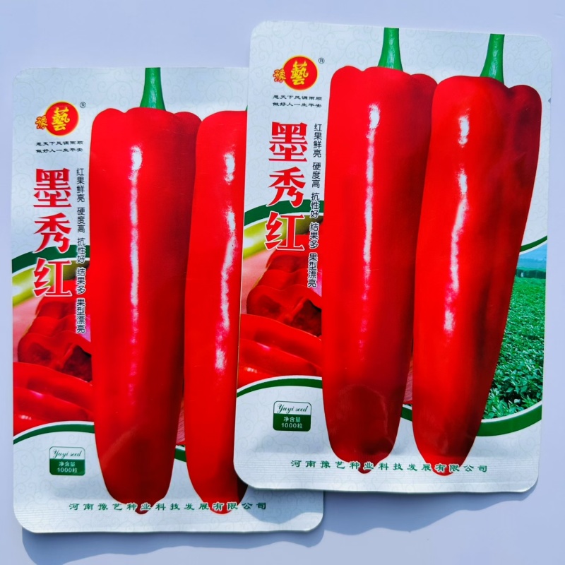 墨秀红牛角椒种子红果专用椒春秋季播中早熟高产红牛角椒种子