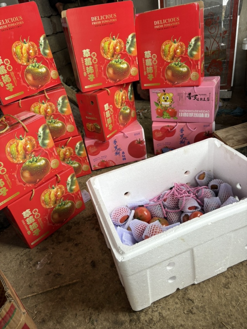 草莓西红柿
