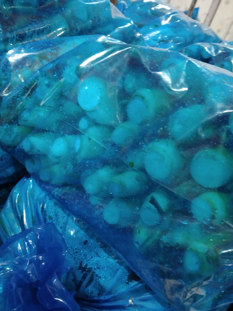 二六年新鲜茭白