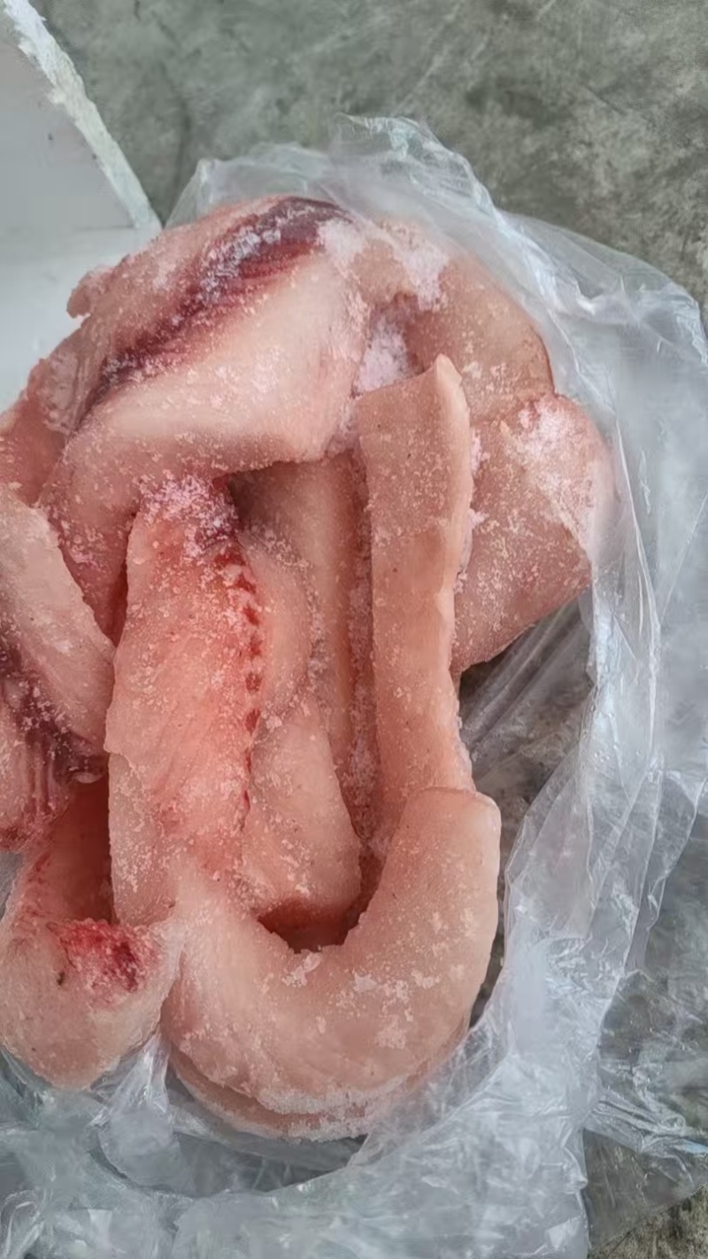 活鱼现杀草鱼肉白鲢鱼肉，饭店-丸子店**