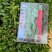辣椒茄子苗