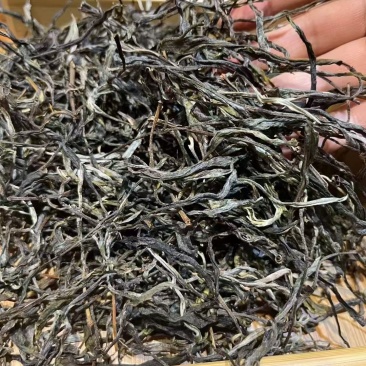 森林茶