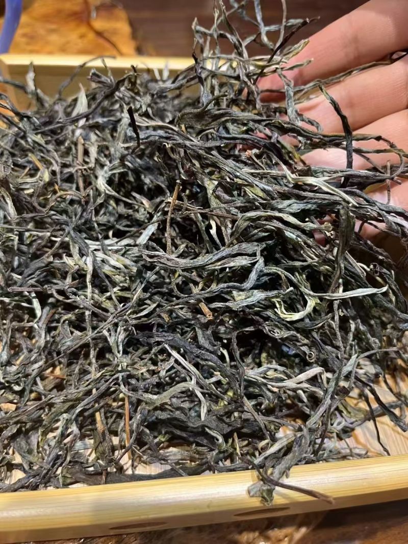 森林茶
