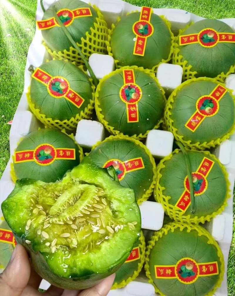 绿宝甜瓜等各种甜瓜大量上市品质好，规格全欢迎采购