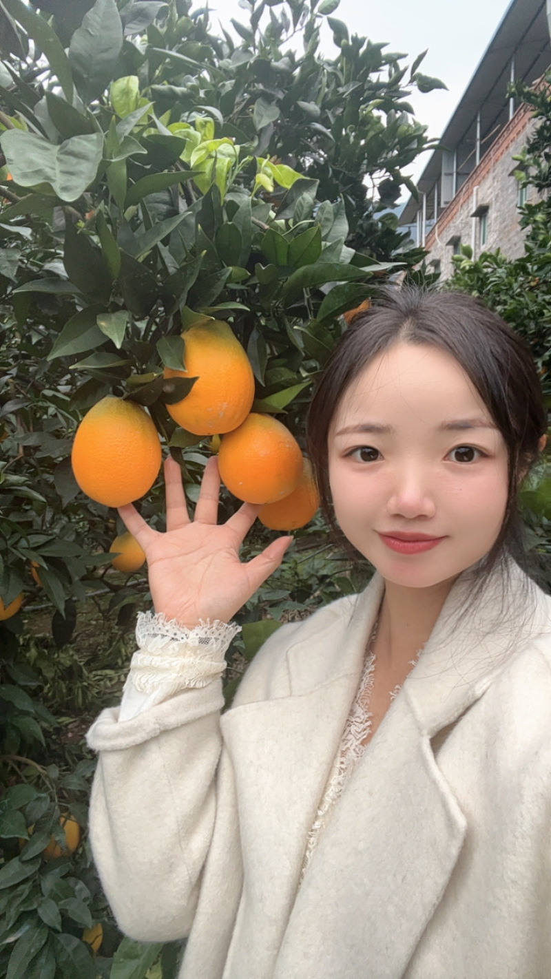 奉节脐橙纽荷尔