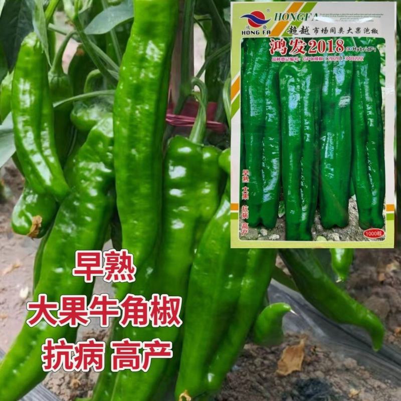 鸿发2018大果牛角椒种子薄皮早熟尖椒大果泡椒辣椒种籽