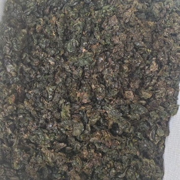 地皮菜