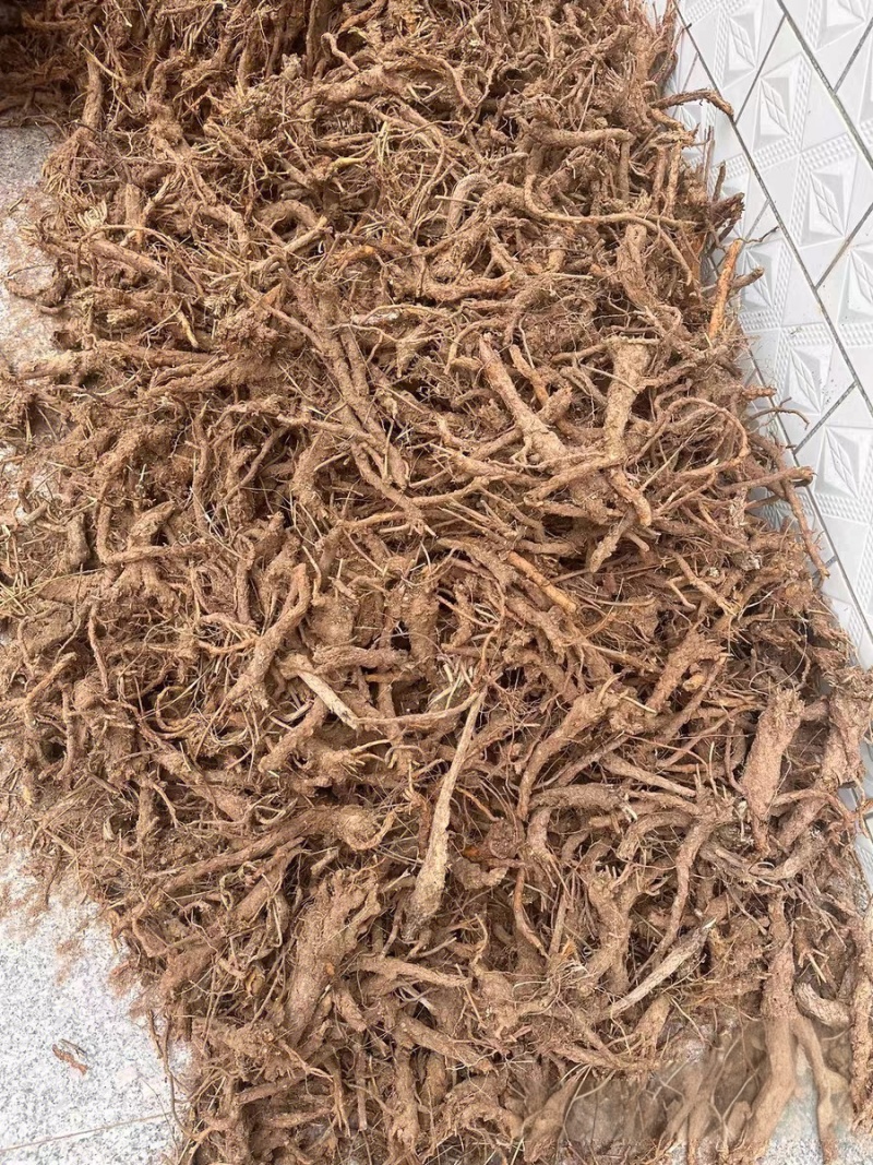 黄芩，不含任何添加剂，假一赔十